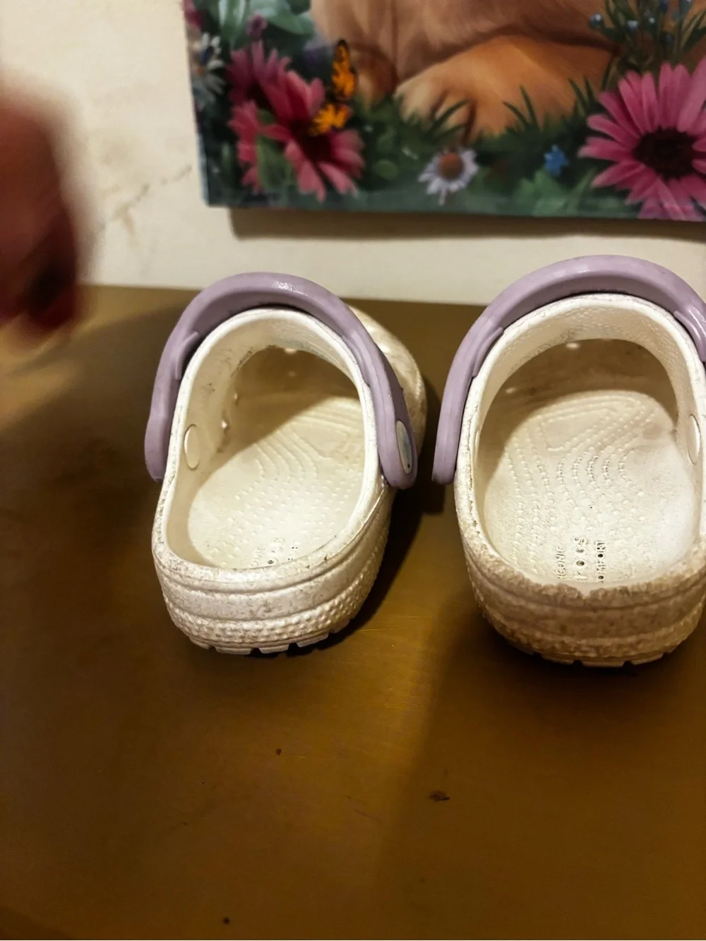 Crocs Kids Casual Waterproof Clog in Light Purple and Cream